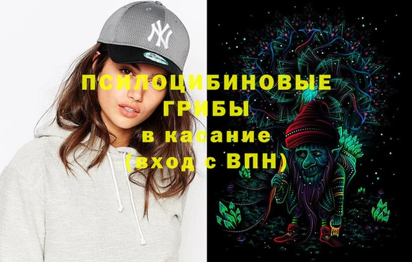 прущая мука Новодвинск
