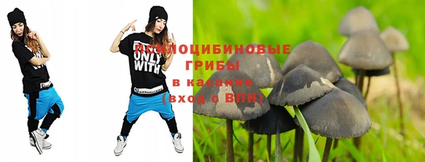 марихуана Новозыбков