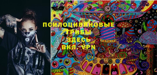 прущая мука Новодвинск