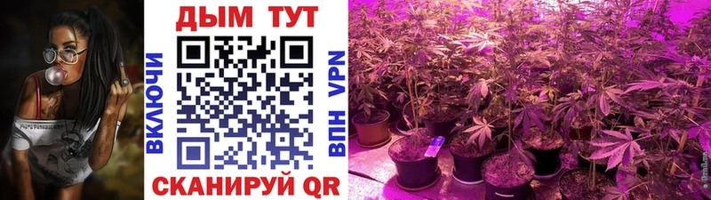 ссылка на мегу маркетплейс  Петушки  Бошки марихуана OG Kush 